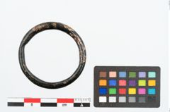 Foto von Bronzering (NHMW-PRAE-025961)